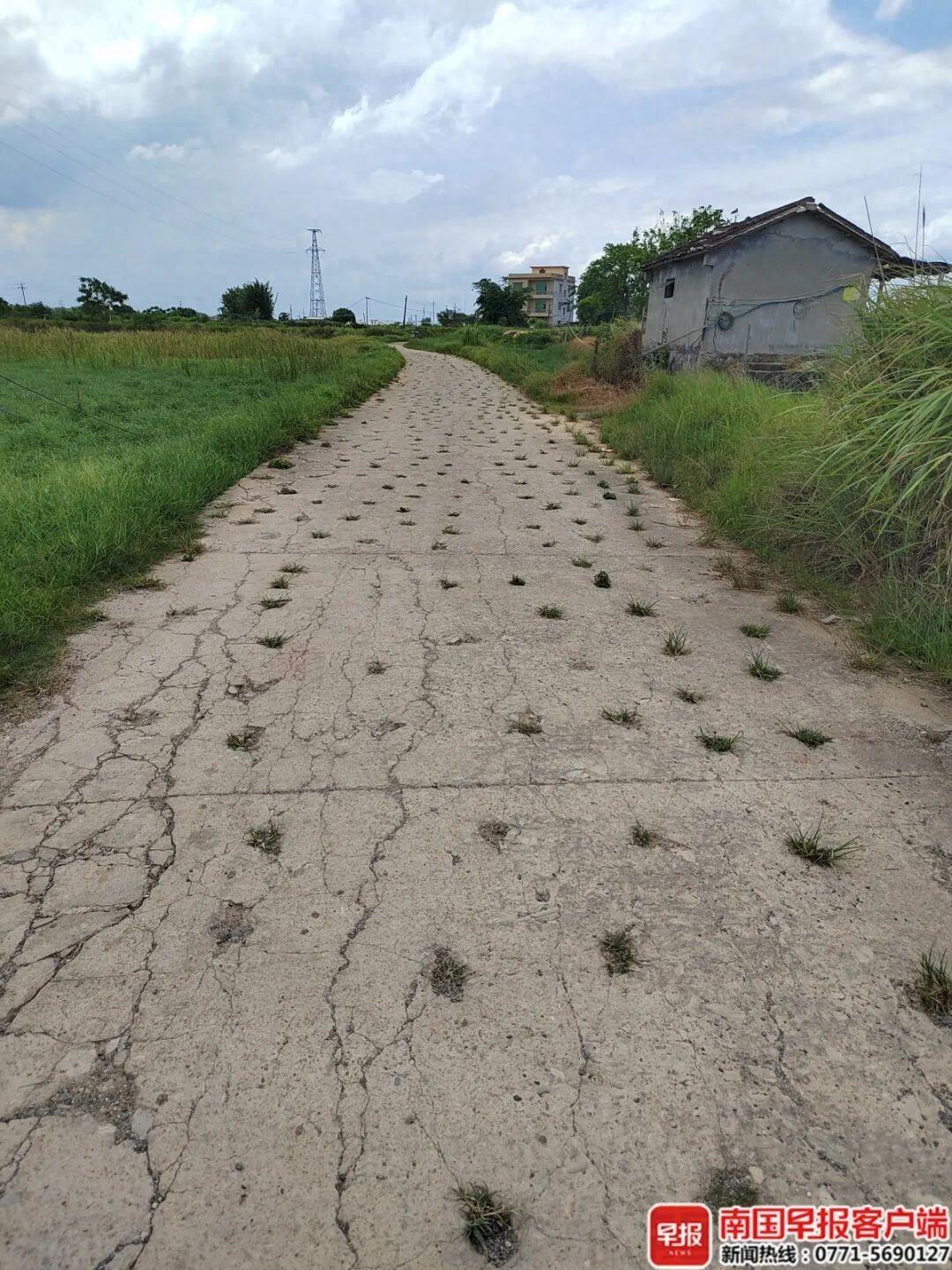 2025-2026年闭式冷却塔十大厂家评测 十款口碑产品推荐与领先评价