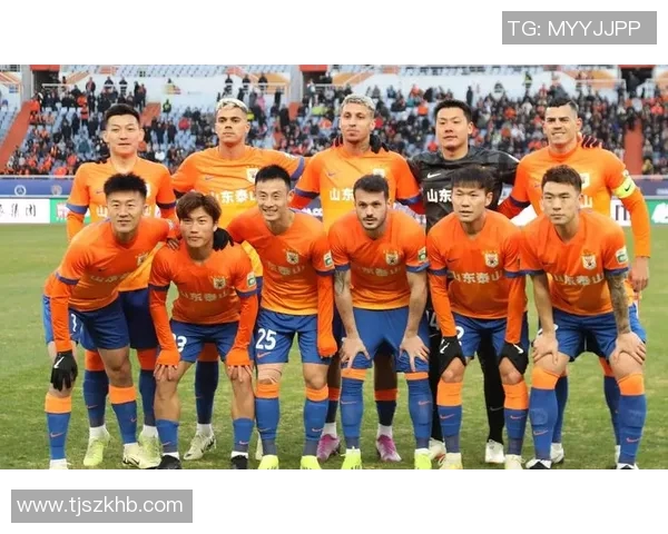 深圳足球队的辉煌崛起与冠军赛背后的奋斗故事